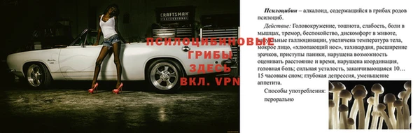 кокаин колумбия Дмитриев