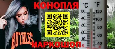 трава Заводоуковск