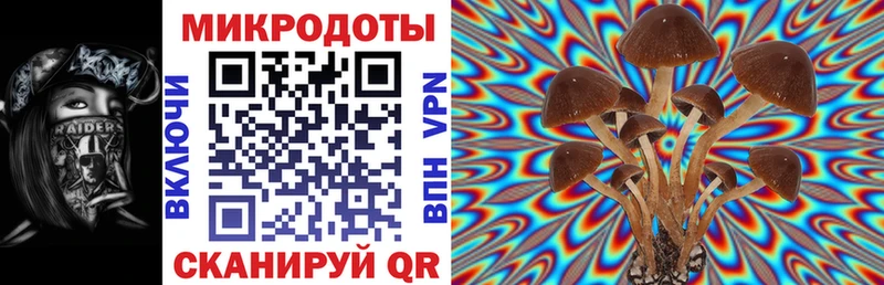 Галлюциногенные грибы GOLDEN TEACHER  купить наркотики сайты  Обь 